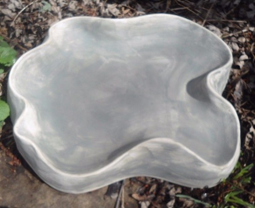 Elegante uccellino mangiatoia