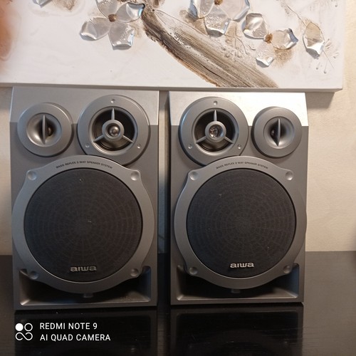 Diffusori aiwa nr20 bass - diffusori, sx-nr20