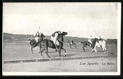 Les sports polo - les, le
