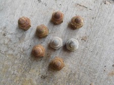 INNOCENTI LAMBRO 175 200 550V 550 V LAMBRETTA 8 DADI MOZZI BULLONI RUOTA CERCHIO