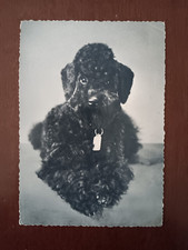 CARTOLINA B/N ANNI '60