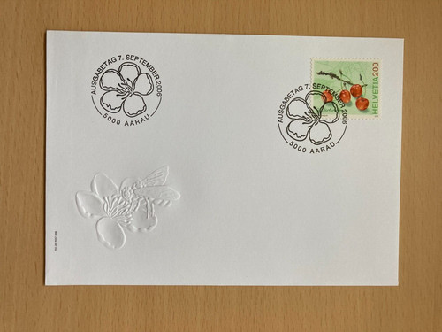Svizzera 2006 lettera primo