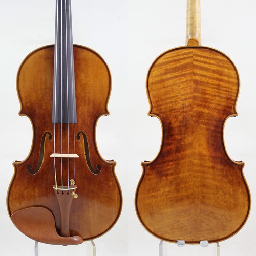 Maestro violino acero - violino!,
