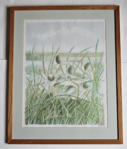 Alan grabham sea holly - alan,