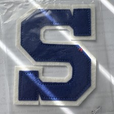 Skyway Middle Schhol "S" patch