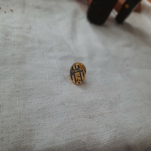Distintivo spilla metallo pin - spilla,