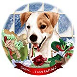 Jack russell tan white - russell, dog