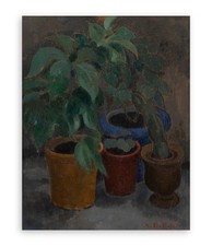 QUADRO OLIO SU TAVOLA GIULIO