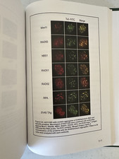 Molecular Mechanisms