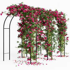 Arco in Ferro da Giardino per Piante Rampicanti Decorazione Terrazzo 140x240 cm