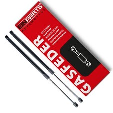 2 molle a gas ammortizzatori