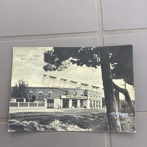 Tirrenia albergo buona - tirrenia,albergo, “buona