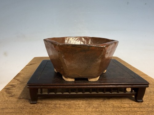 Vaso per bonsai - , shohin