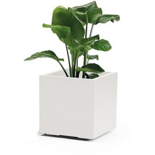 Euro3Plast Fioriera BUSTO VERDE 40 cm Bianco