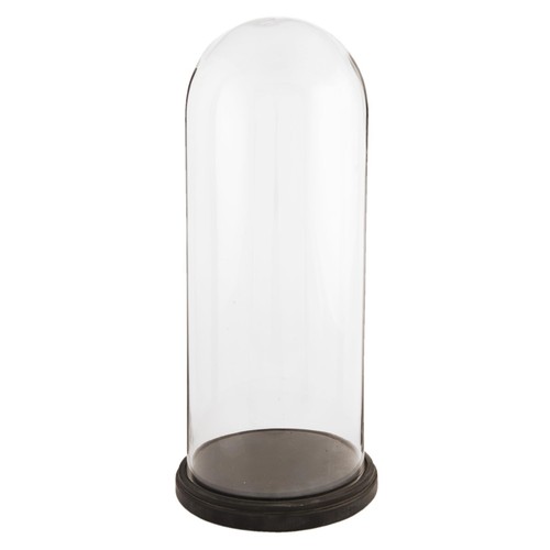 Espositore vetro cloche - espositore,