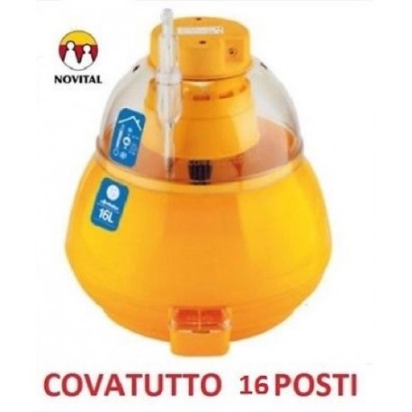 Incubatrice manuale covatutto - incubatrice,