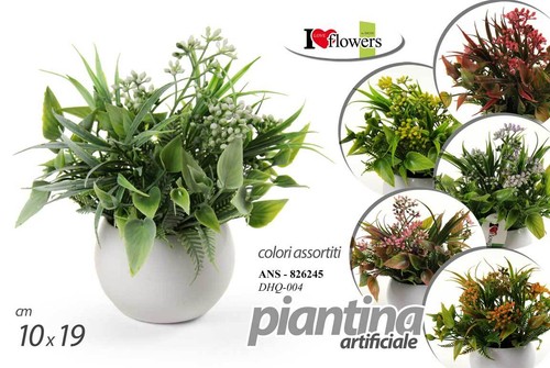 Pianta piantina finta - pianta,