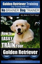 Golden Retriever Training Dog