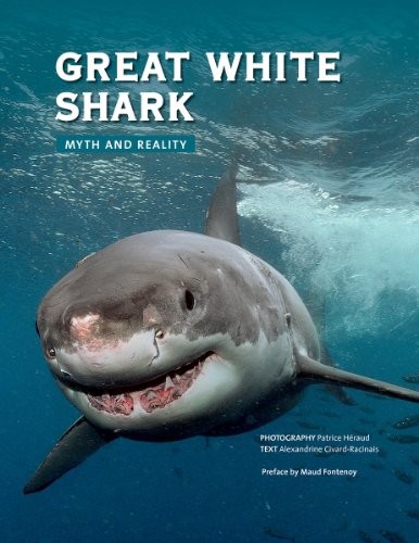 Great white shark - great,