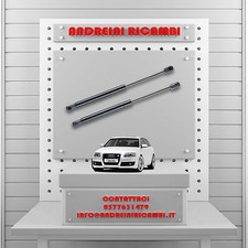 2 MOLLE A GAS BAGAGLIAIO AUDI
