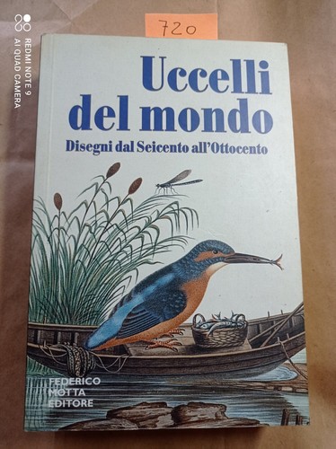 Uccelli dal mondo - dal, disegni