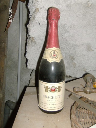 Spumante brachetto 1 - brachetto, -n.1
