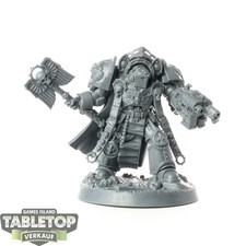 Cavalieri Grigi - Terminator