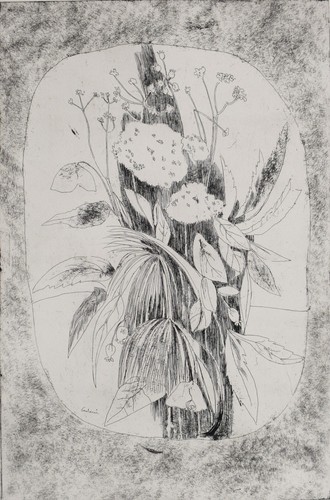 Acquaforte etching gravure - acquaforte,