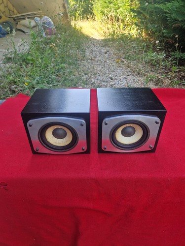 Rare paire mediums 13cm - rare,