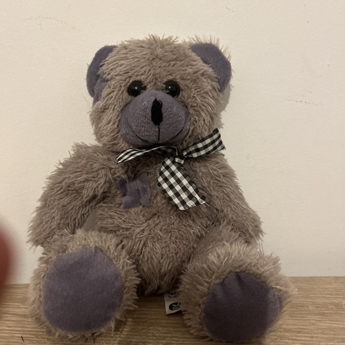 Piccolo peluche grigio morbido - peluche,