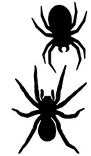 Adesivo AUTO MOTO ANIMALE RAGNI SPIDER NERO 10 x 20 CM PVC PRESPAZZIATO ESTERNO