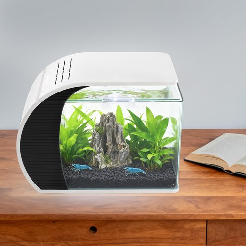 Piccolo acquario vetro - in,
