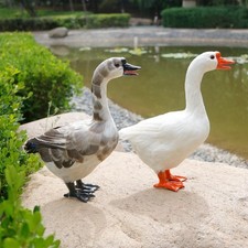 Simulazione Miniatura Oca