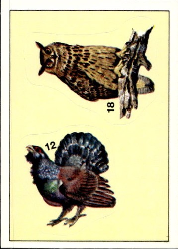 Figurina uccelli panini - figurina,