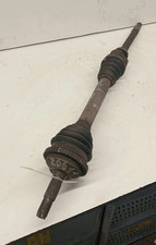9630767280 Semialbero ant
