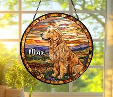 Decorazione prendisole in