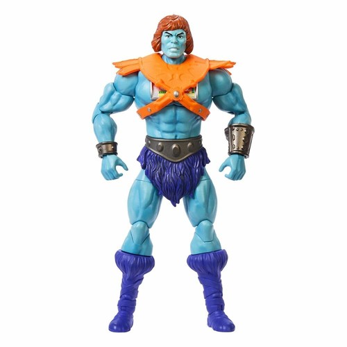 Masters the universe - the,