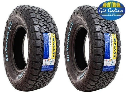Coppia pneumatici tassellati - 2,
