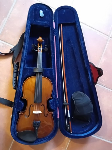 Violino studio stentor - violino, da