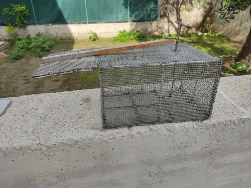 Trappola per topi - per, 2