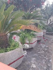 Fioriere Vasi Vintage con 6