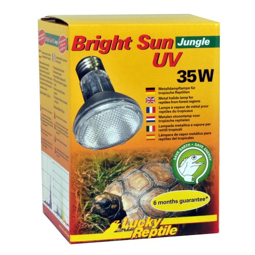 Lucky reptile luminoso sole - reptile,