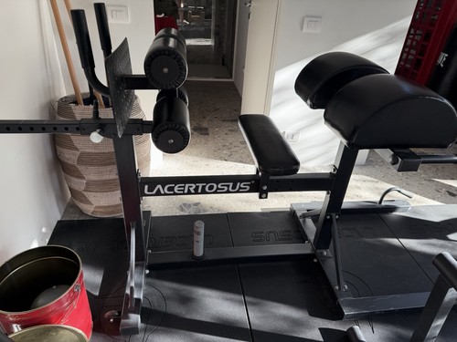 Lacertosus ghd pro usato - lacertosus,