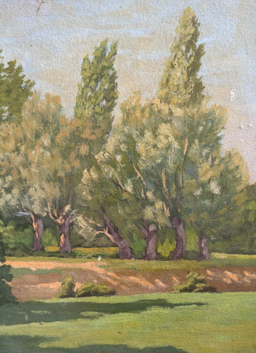 Paesaggio alberi foresta - paesaggio,,