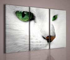 QUADRI MODERNI CAT QUADRO MODERNO GATTO ARREDAMENTO CASA TRITTICO ARREDO ANIMALI