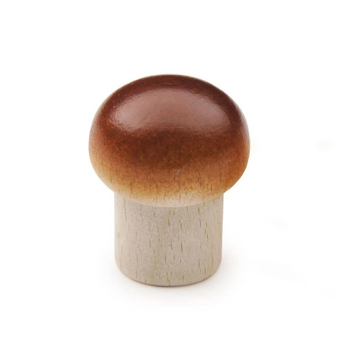 Erzi funghi legno piccoli - erzi, di