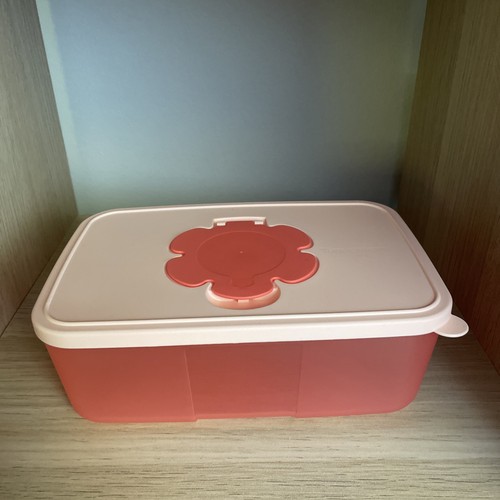 Tupperware scatola per