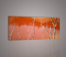 QUADRI MODERNI WOWA QUADRO