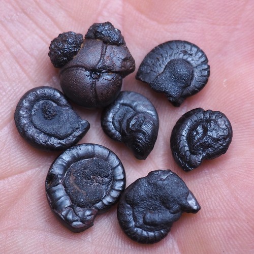 Goniatite botrioidale ematite - botrioidale,