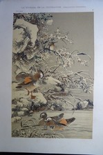 SCUOLA FRANCESE XIX BELLA